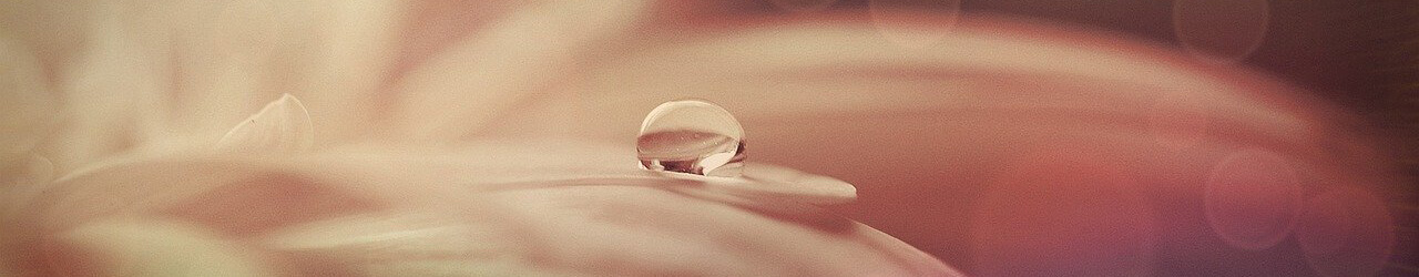 ADENALシリーズ｜エステサロンの美容液なら「アデナル」