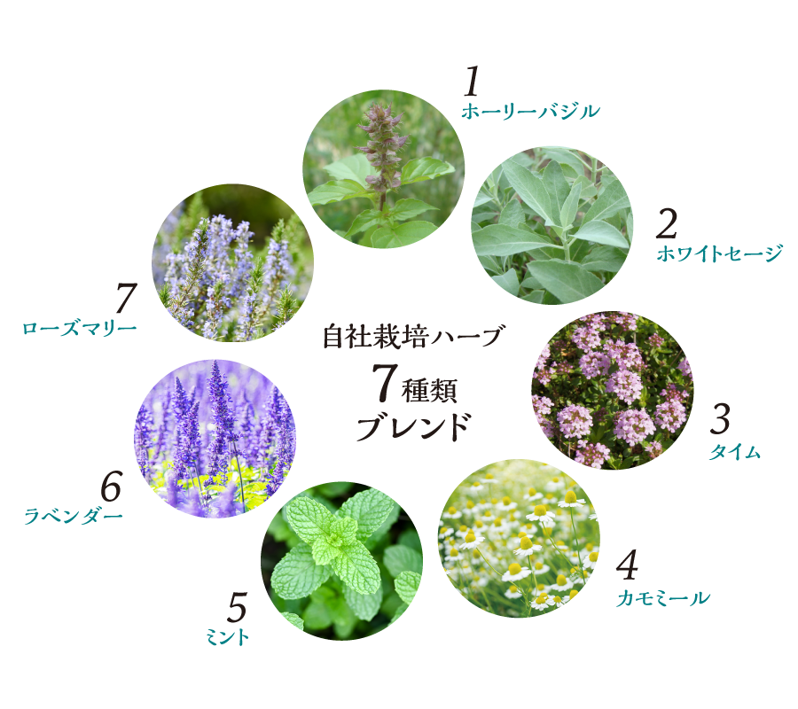 アド・キュート | アドライフ