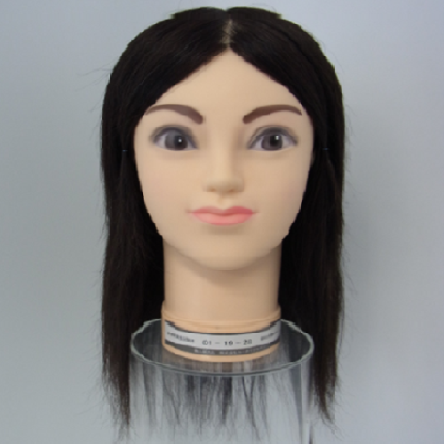 ユーカリ 01-19-28 国家試験用ウィッグ