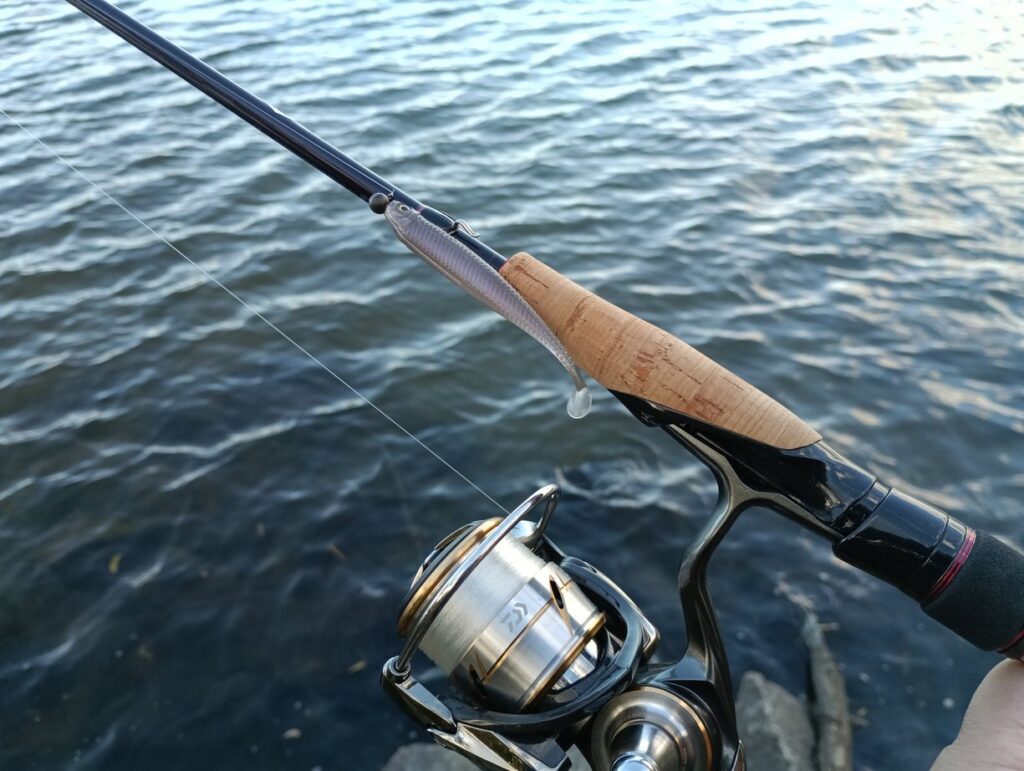 ダイワ ファイヤーフラッシュFスペックを徹底インプレッション! | 釣り