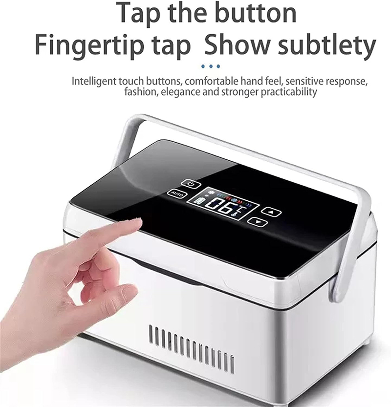 インスリン冷蔵ボックス薬クーラー 2 バッテリー付き大容量車の冷蔵庫