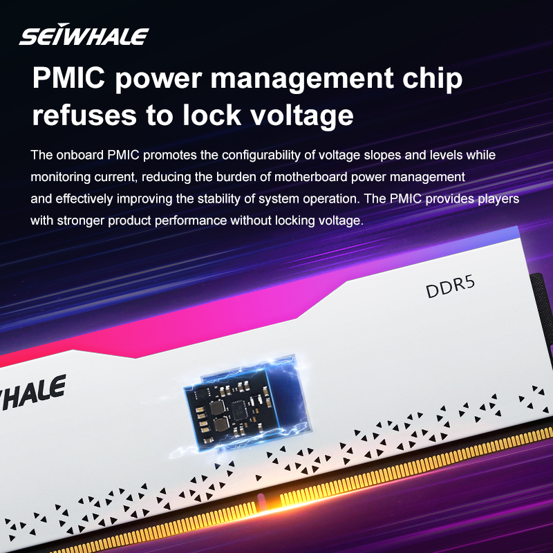 SEIWHALE RGB DDR5 16GB 6000MHz 16GBX2 Desktop Memoria Ram