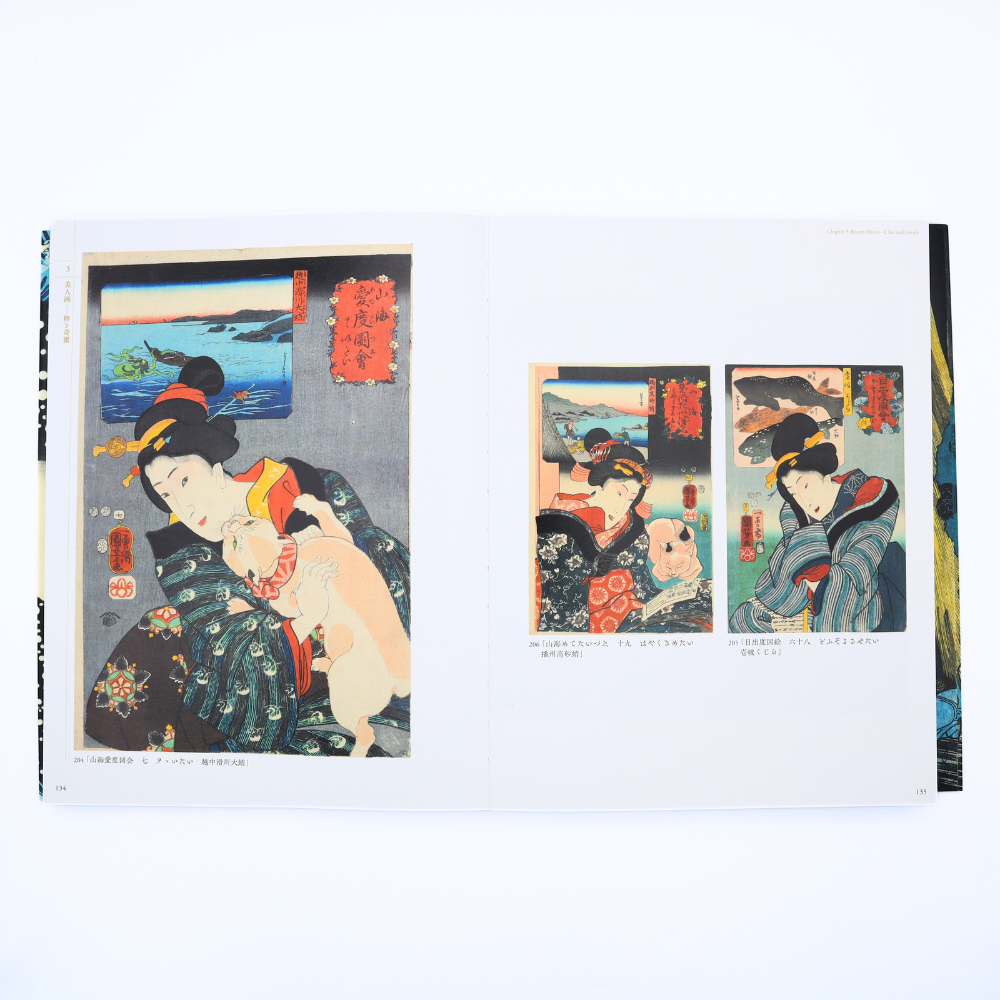 美術展ナビ 図録・グッズSHOP / 歌川国芳展―奇才絵師の魔力 図録