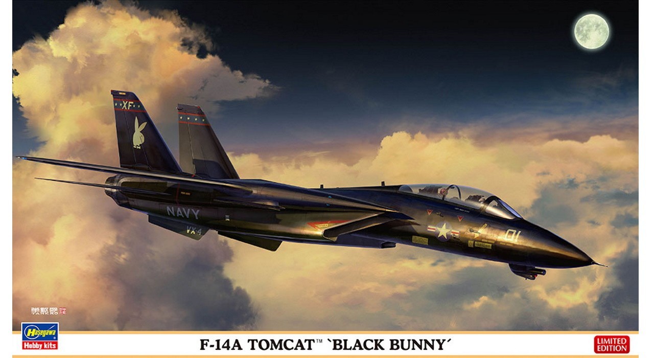Tomcat “Black Bunny” Released | AeroScale