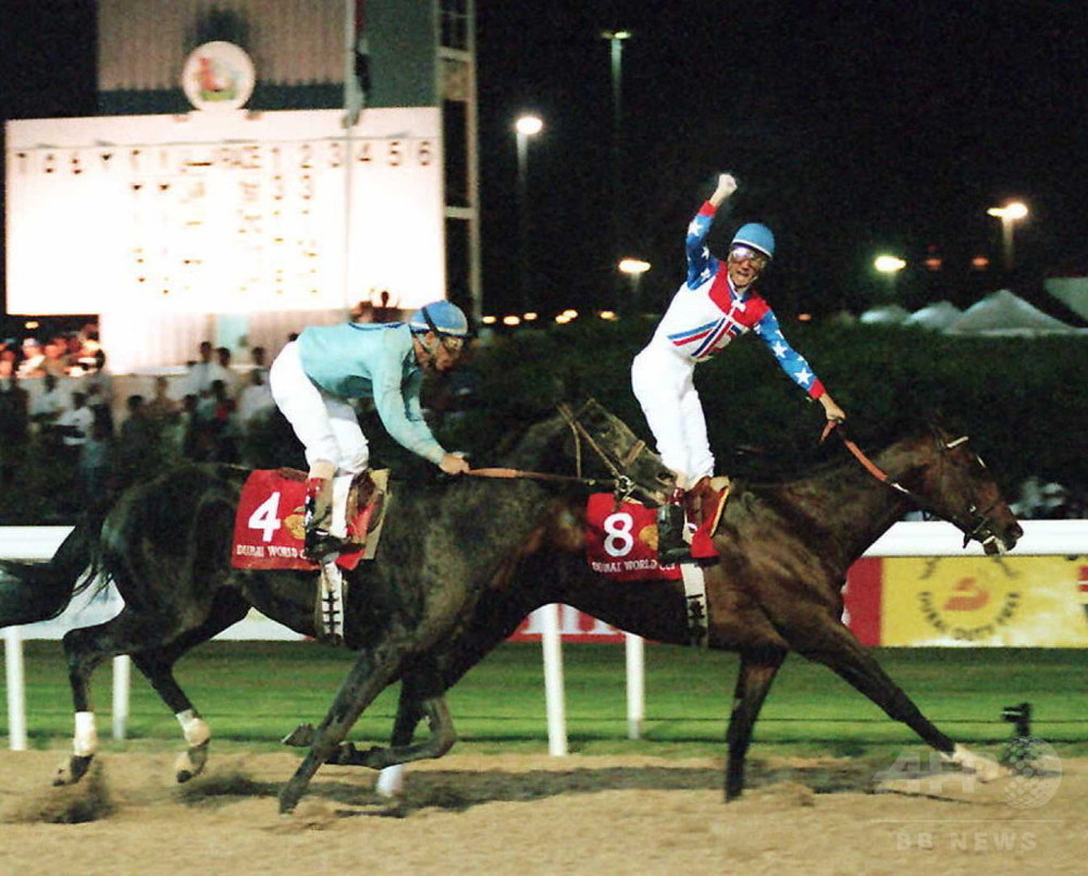 米国の伝説的競走馬シガーが死去、24歳 写真1枚 国際ニュース：AFPBB News