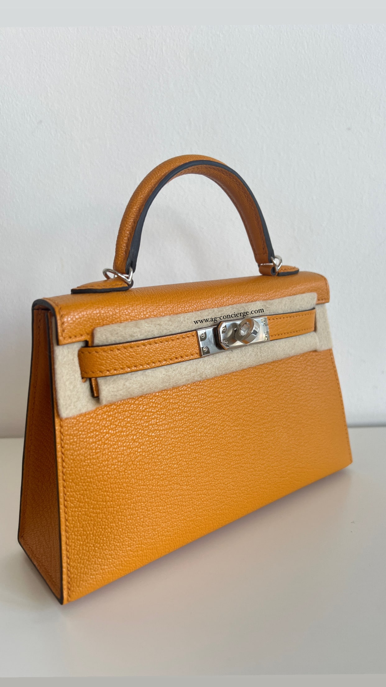 Hermès Mini Kelly 20 Mouatrde Chèvre Mysore With Silver Hardware