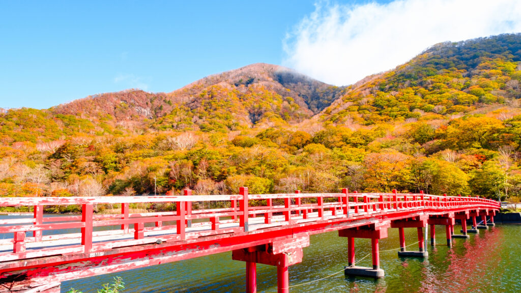 赤城山の紅葉の見頃は、例年10月中旬～11月下旬となっております
