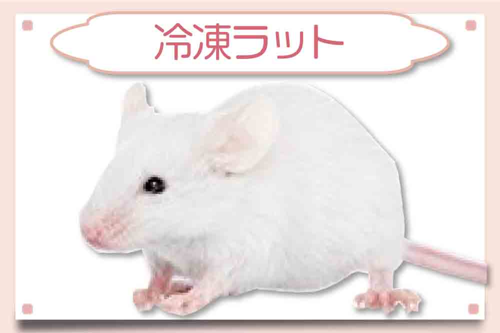 冷凍マウス通販・安いおすすめ餌】東京販売店・サイズ一覧 ｜臭い