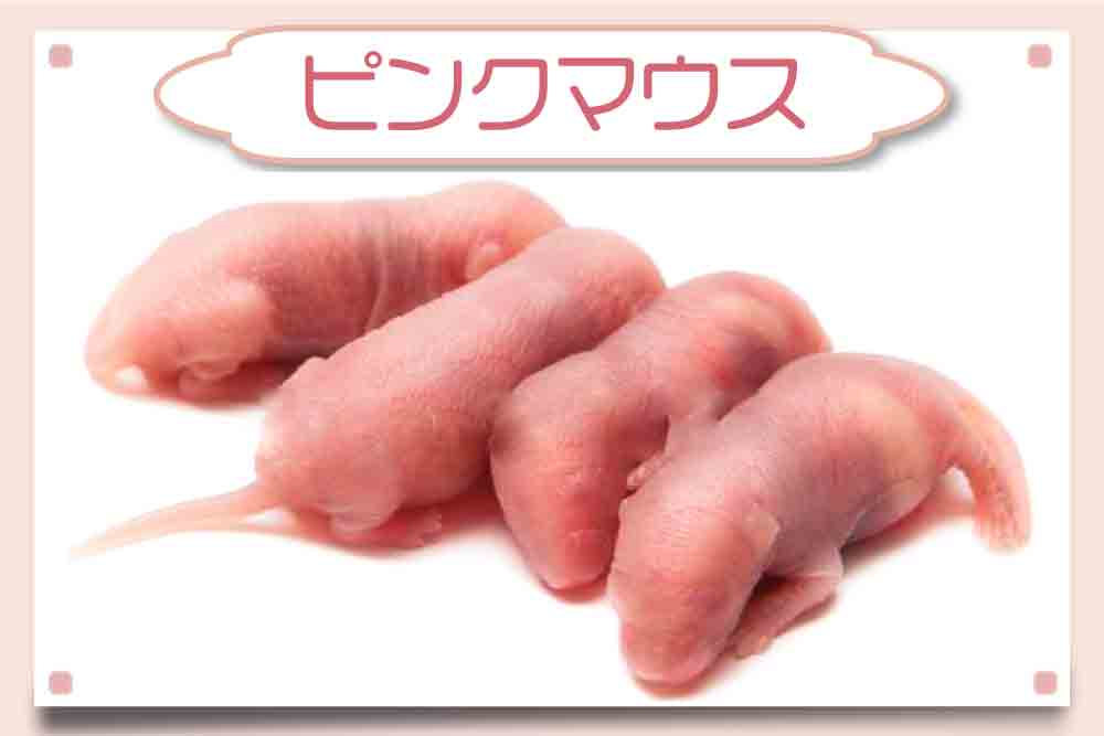 豆 送料無料 冷凍マウスアダルトL30匹ピンクS20匹フタホシ200グラム