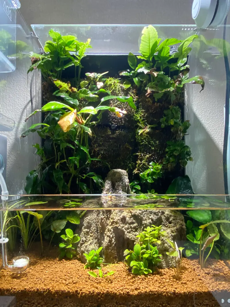 Photo 2022 12月 - Aquarium Blog