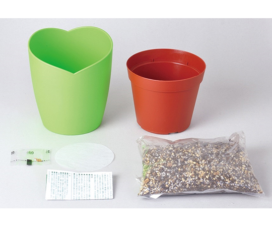 取扱を終了した商品です］みつかる四葉クローバー栽培セット GD-592 64