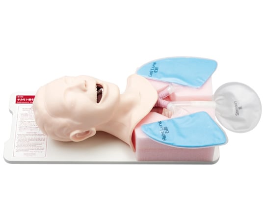 67-4514-01 サカモト吸引シミュレーター M175 【AXEL】 アズワン