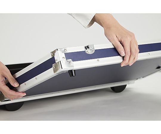 67-5216-81 トーンチャイム 基本セット クロマチック 25音 HB-250N