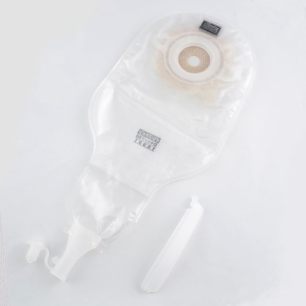 8-1593-06 イレファイン®（単品系装具）Dキャップ30 10枚 16991 【AXEL