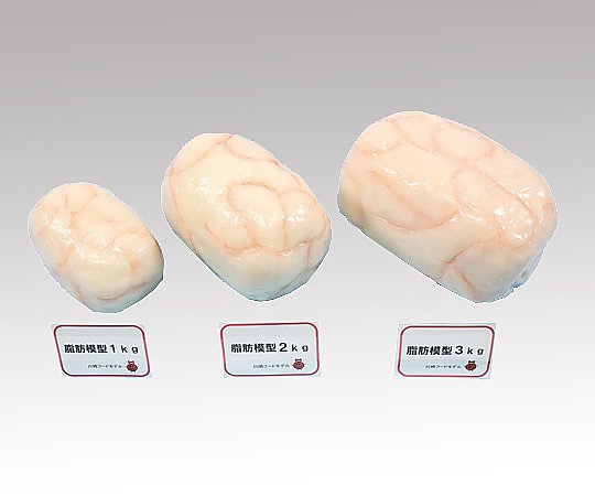 取扱を終了した商品です］8-3742-03 脂肪模型 (3kg) 【AXEL】 アズワン