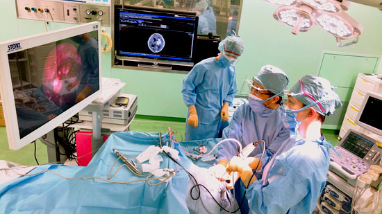 神経内視鏡・外視鏡システム | 藍の都脳神経外科病院