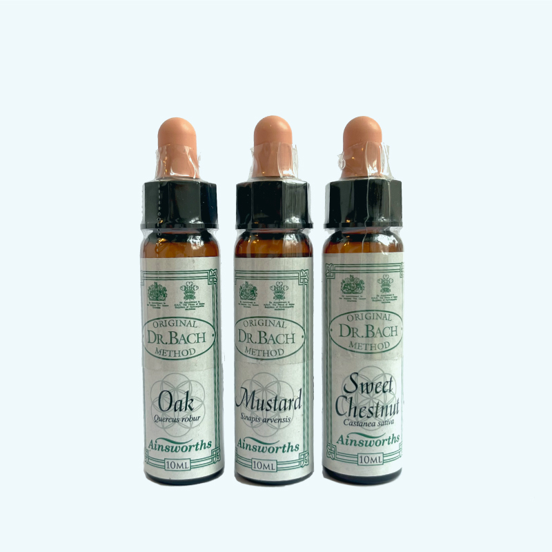 バッチレメディコース | エインズワース | エインズワースホメオパシー薬局