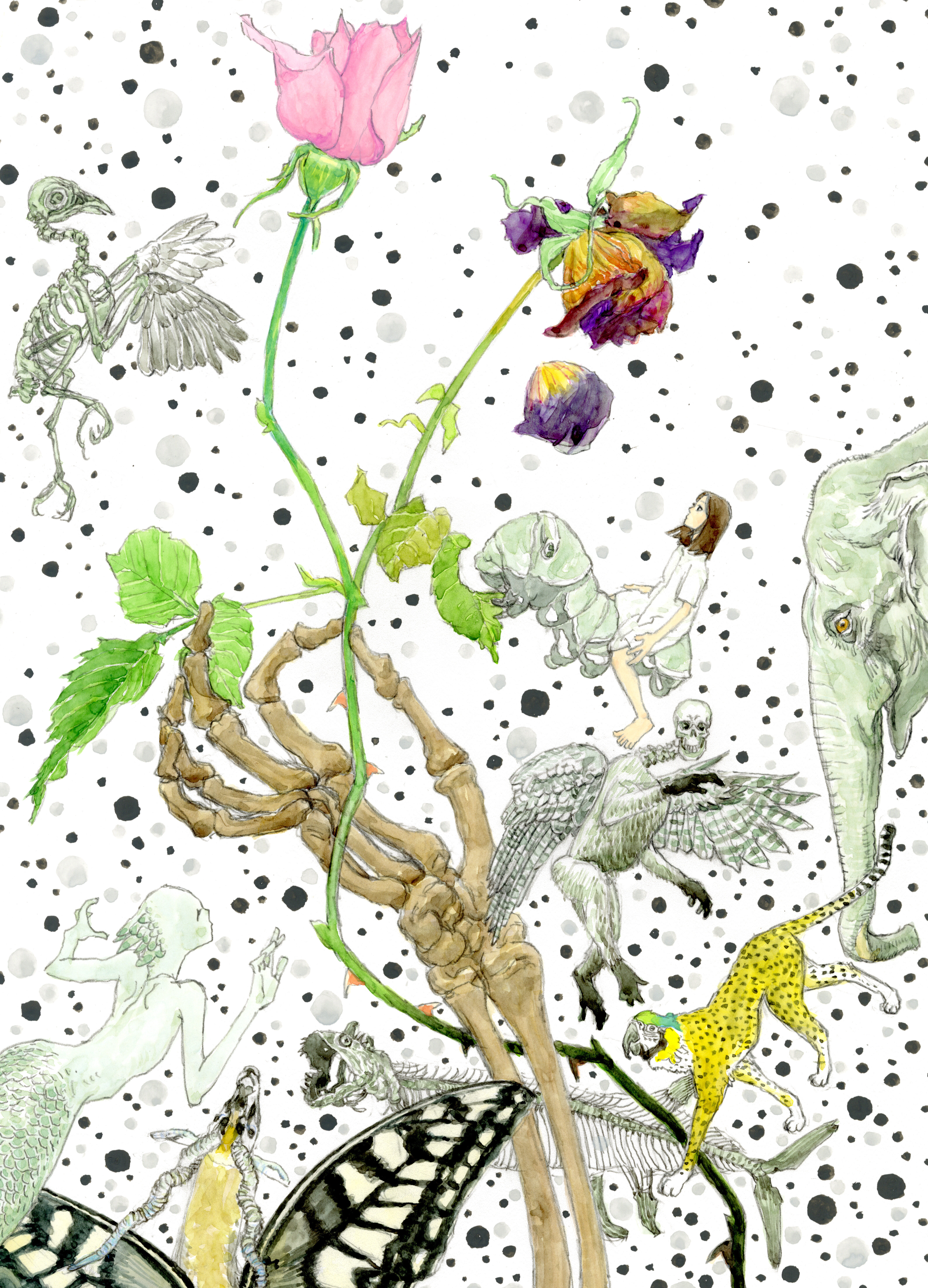 国際芸術祭「あいち2025」灰と薔薇のあいまに プログラム全体概要を