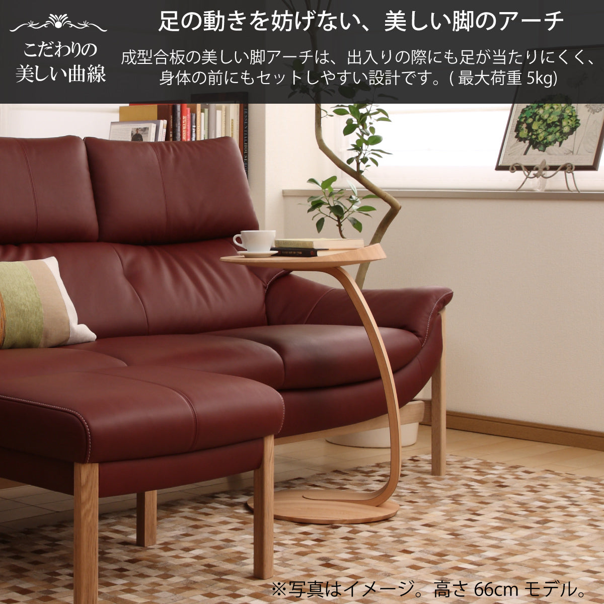 karimokutokuyaku_tu0102000_2_1