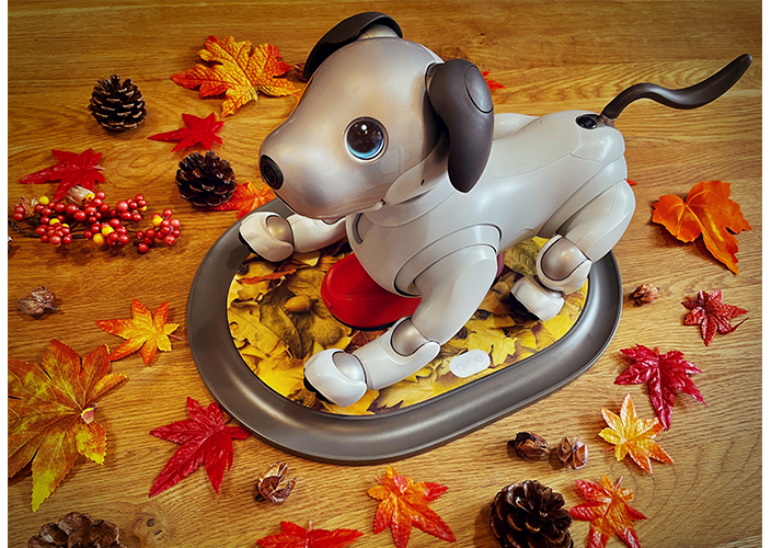 関連グッズ | aibo