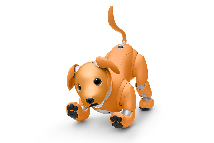 aibo キャラメル エディション | aibo