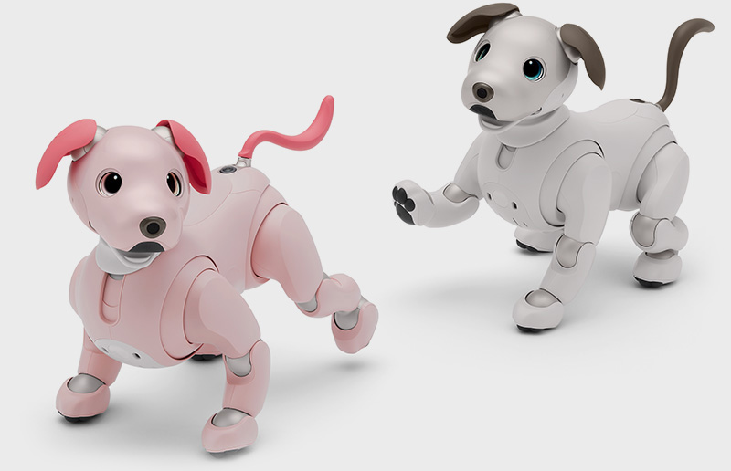 aibo いちごミルク エディション | aibo