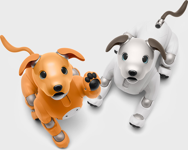 aibo キャラメル エディション | aibo