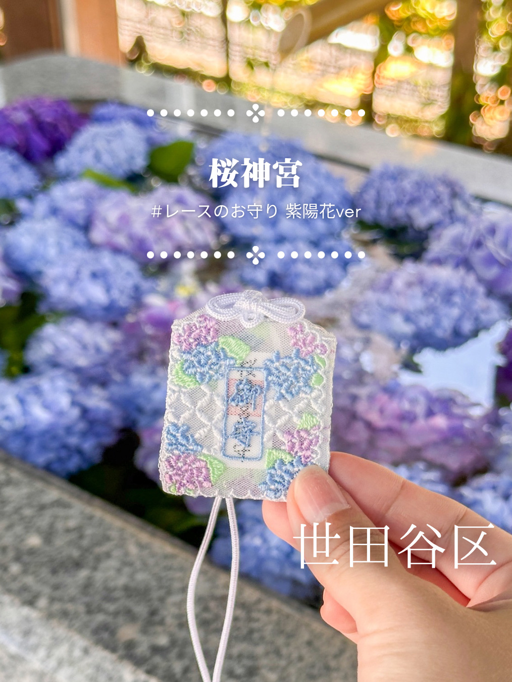 東京世田谷区】河津桜で有名な神社のレースのお守り！6月限定あじさい