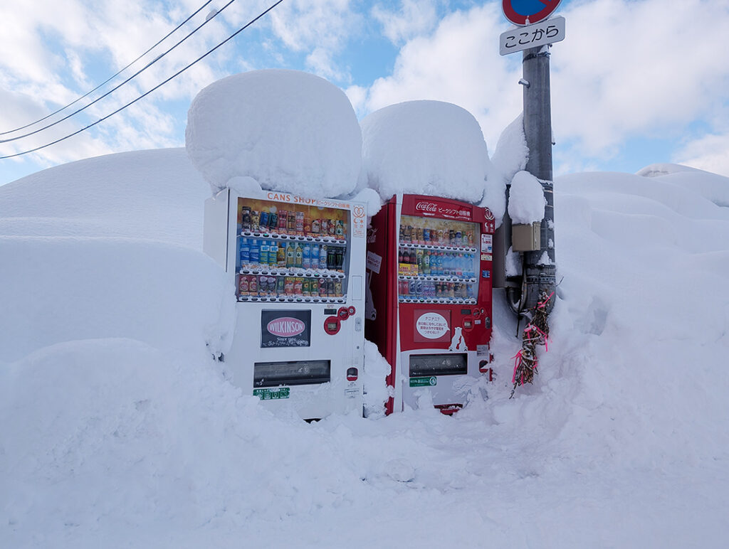 残雪('68日活) 残雪('68日活) 志賀草津高原ルート 雪の回廊の様子 2025年4