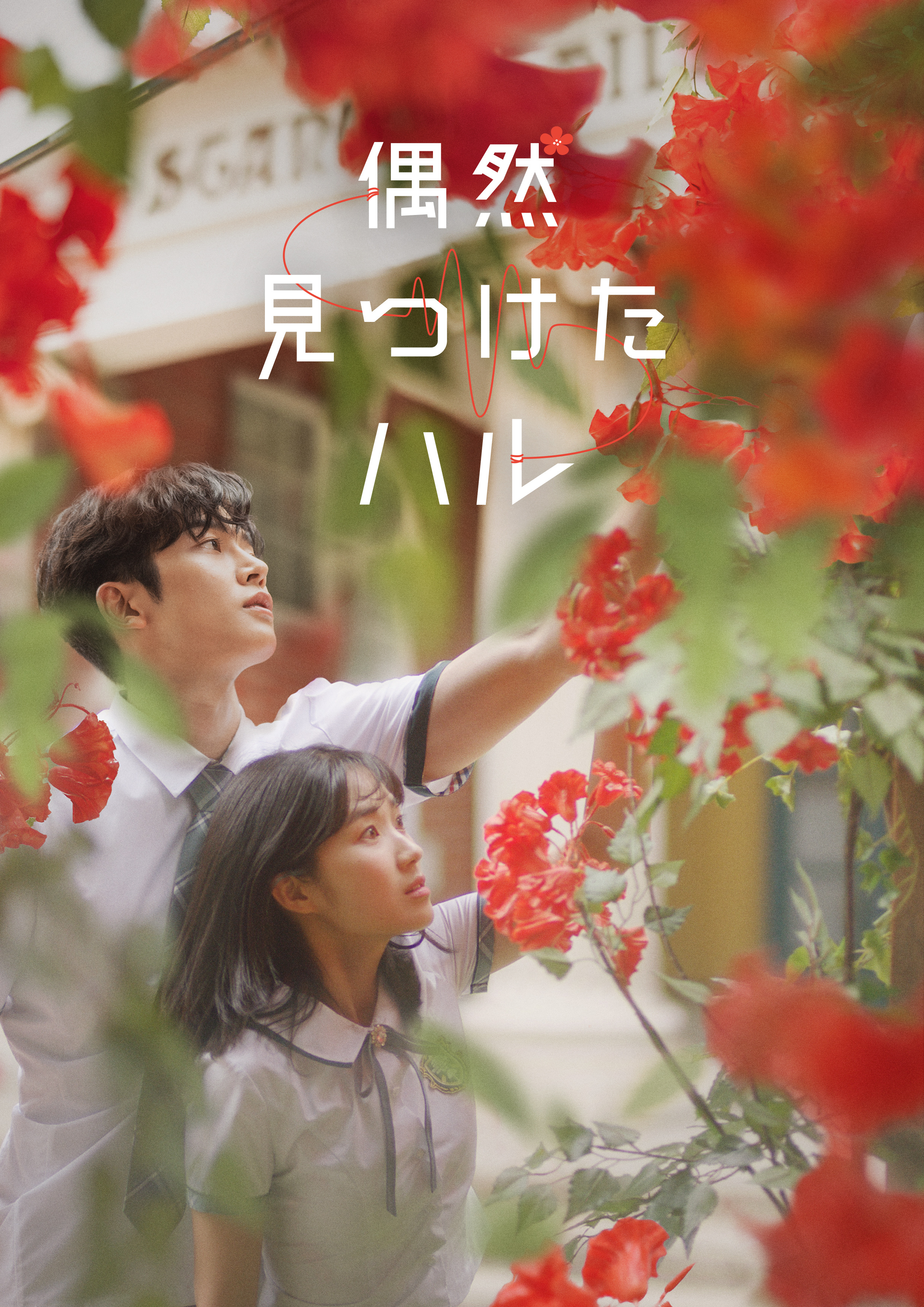 ロウン主演韓国ドラマ『偶然見つけたハル』12/2よりDVD発売＆レンタル