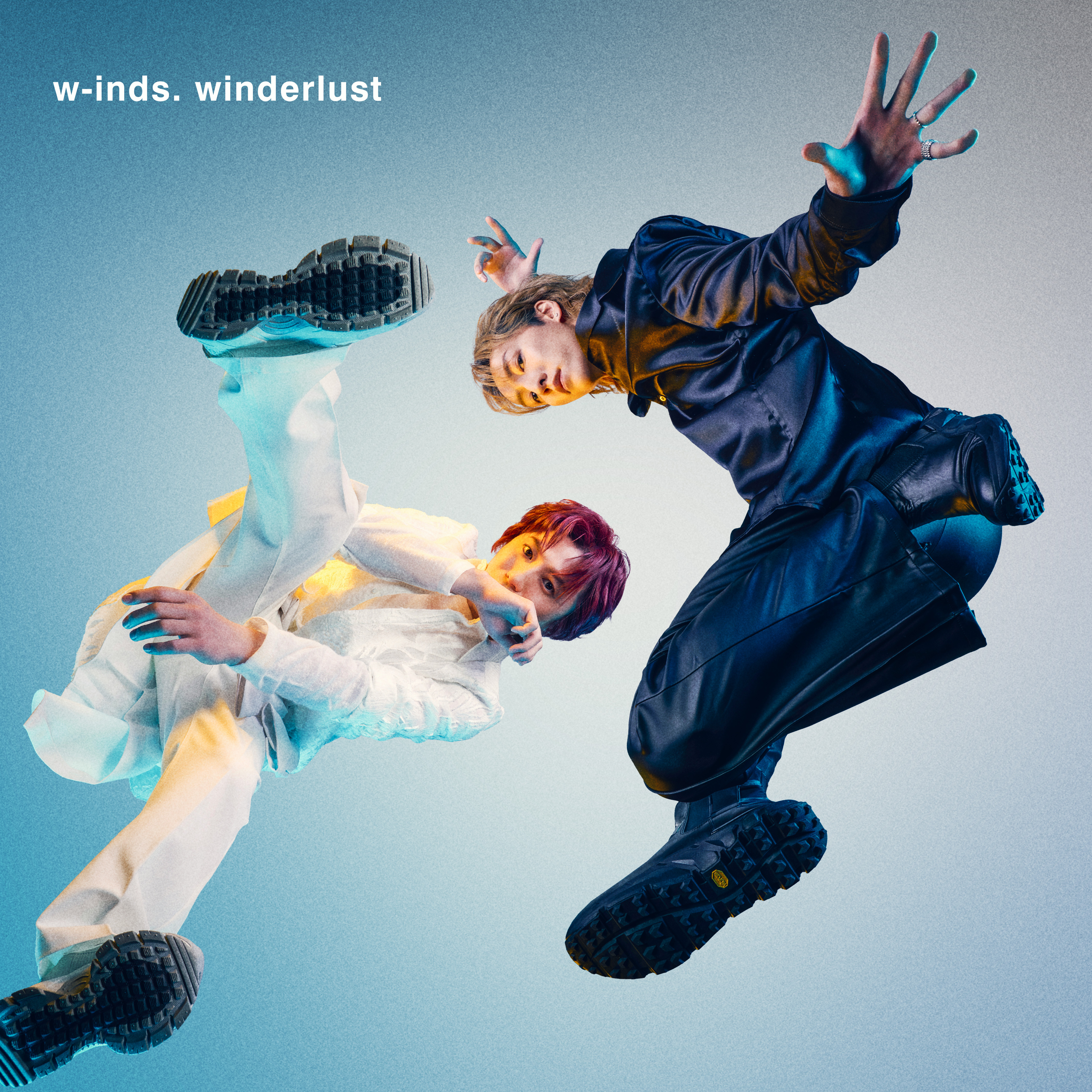 1/31更新]｜16th Album 「winderlust」・ DVD / Blu-ray 「w-inds