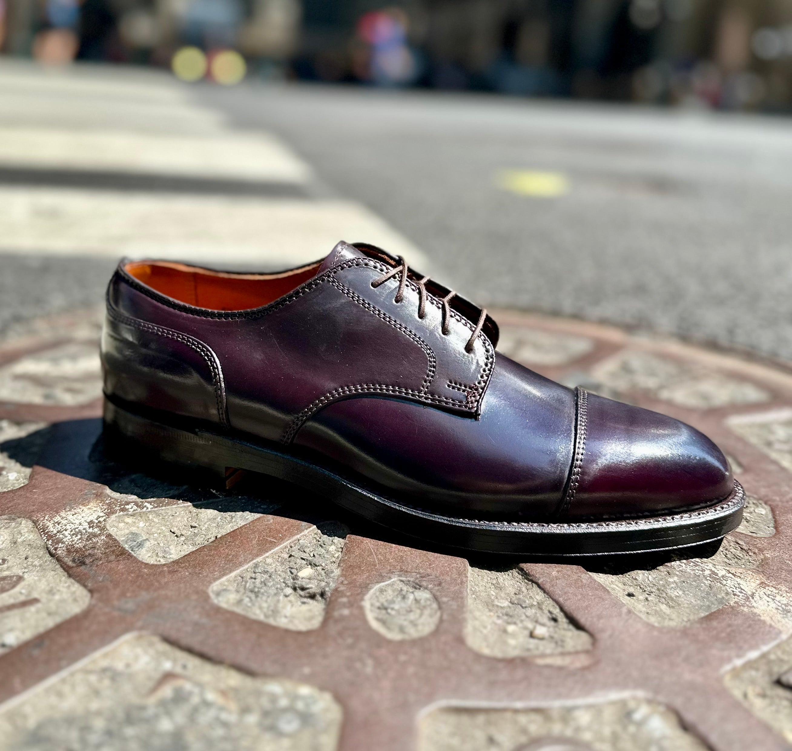 2160 - Cap Toe Blucher in Color 8 Shell Cordovan – ALDEN SHOES