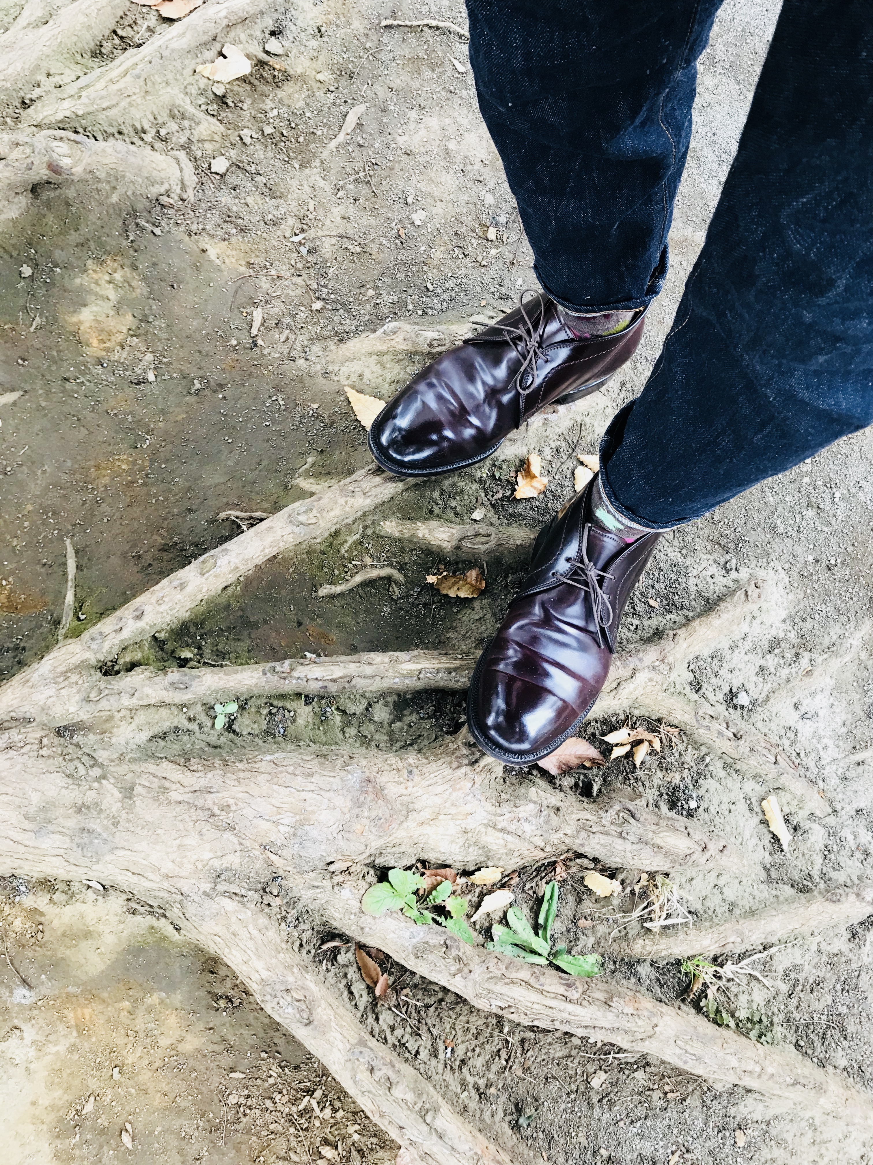 10年目のチャッカブーツ - Alden Style