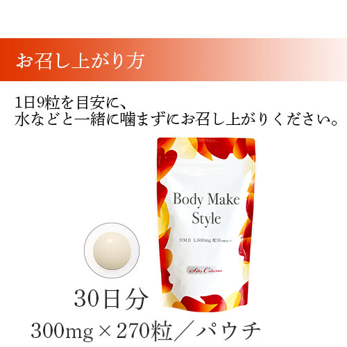 ボディメイクスタイル [定期1袋](※) | 補整下着(補正下着)、ブラ