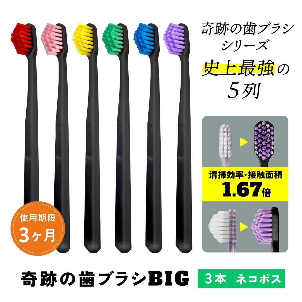 奇跡の歯ブラシBIG 3本 | ［公式］奇跡の歯ブラシweb shop
