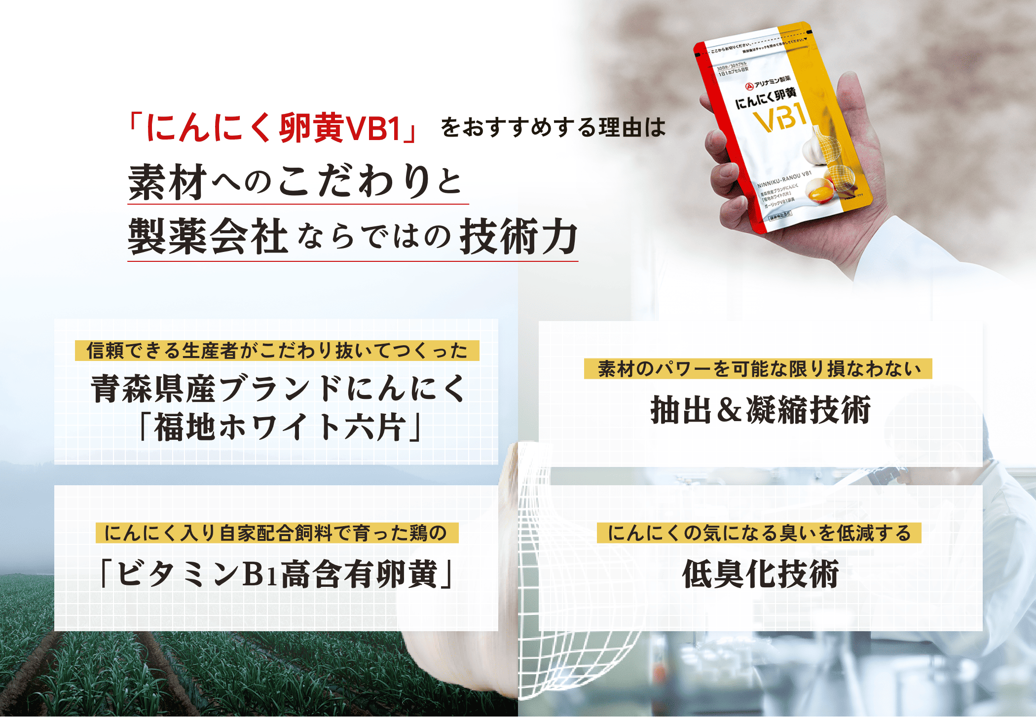 にんにく卵黄のサプリメントは「にんにく卵黄VB1」｜医薬品・医薬部外
