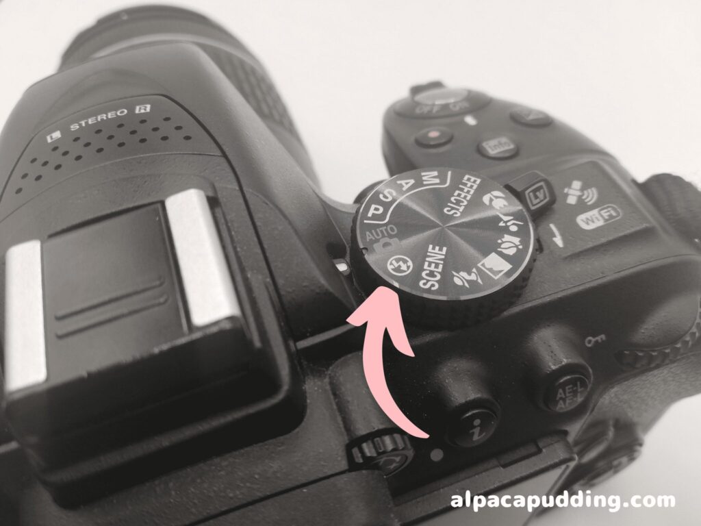 お子様を綺麗に残す❤️Nikon D5300✨手ブレ補正＆Wi-Fiでスマホ転送