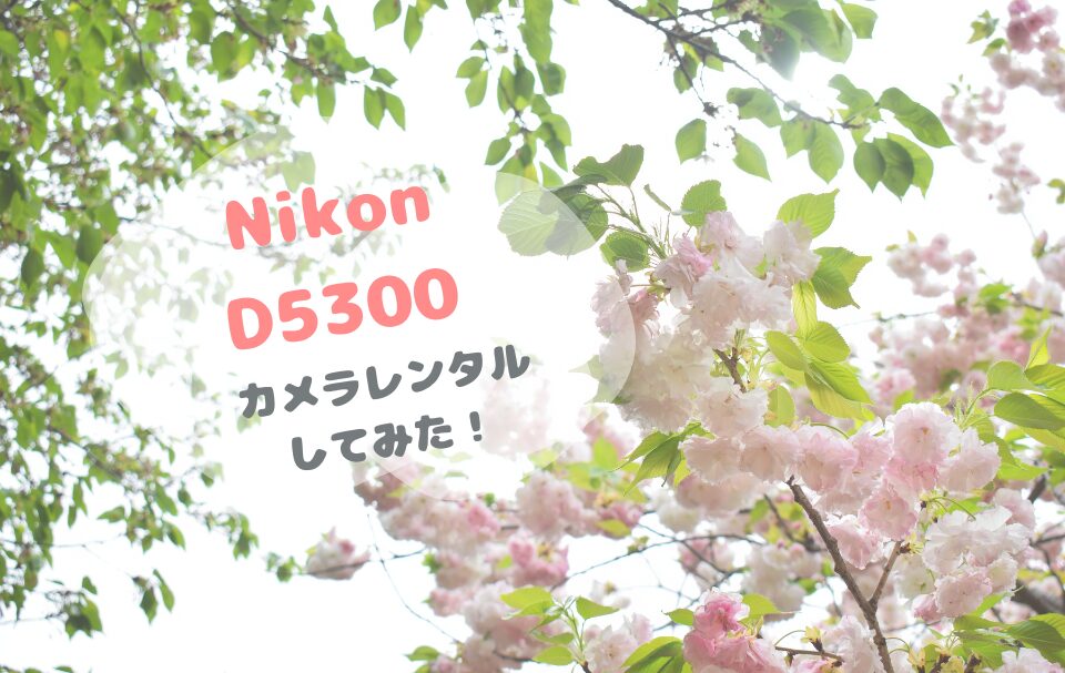 初心者カメラキット】ニコンのD5300をレンタルしてみた！【スマホ転送