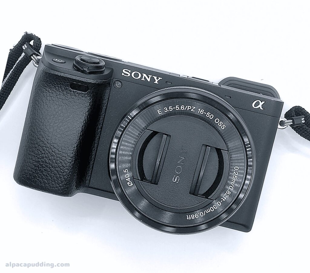 作例あり】初心者でもSONY α6400ダブルズームレンズキットは