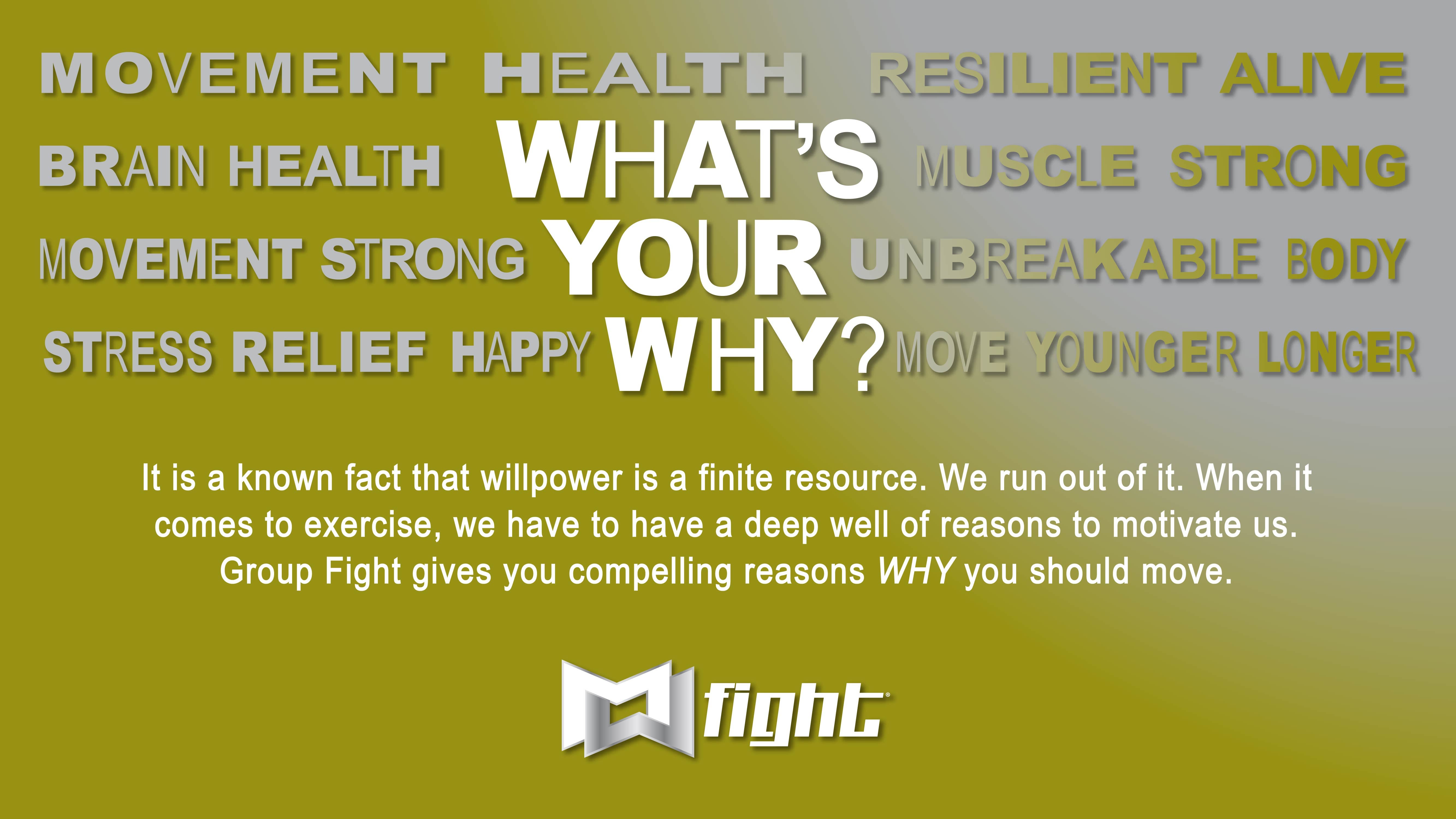 Group Fight 17 (60 min)