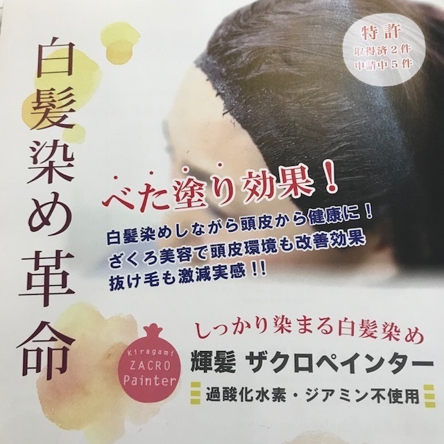 ザクロペインター 」メーカーが教えてくれない美容師の本音 – 藤枝の