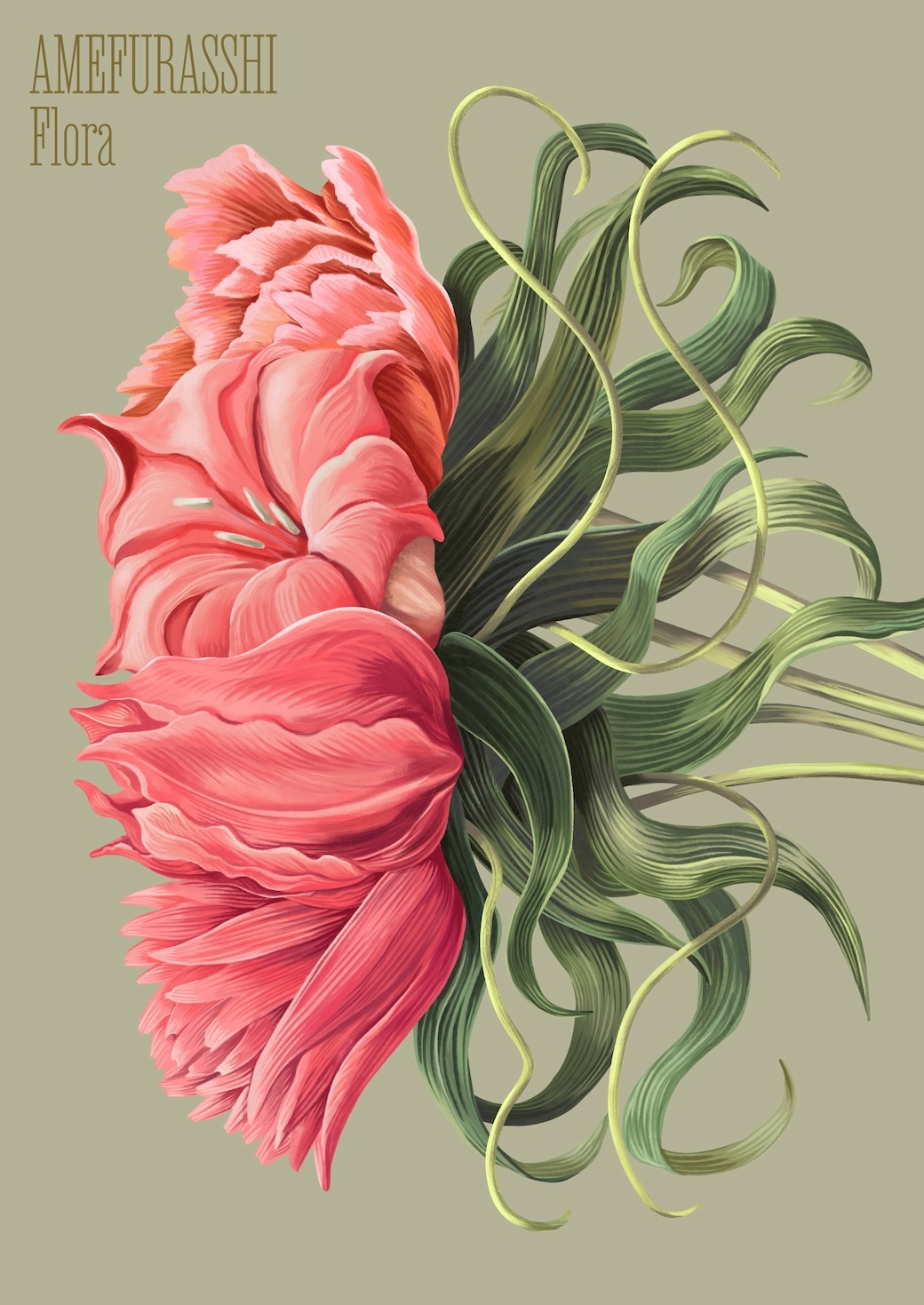 Flora』豪華盤 | AMEFURASSHI OFFICIAL SITE