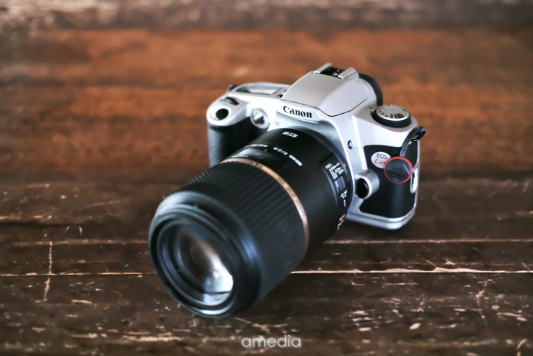 作例とレビュー】フィルムのNewEOSkissは「使いやすい・安い・軽い」で