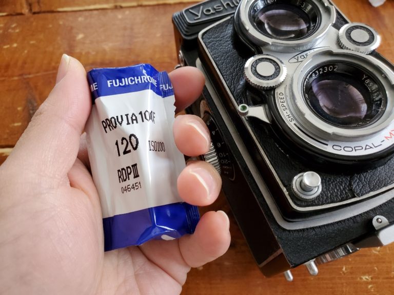 念願の中判でポジフィルムをやってみた｜YashicaFlex×富士プロビア100F