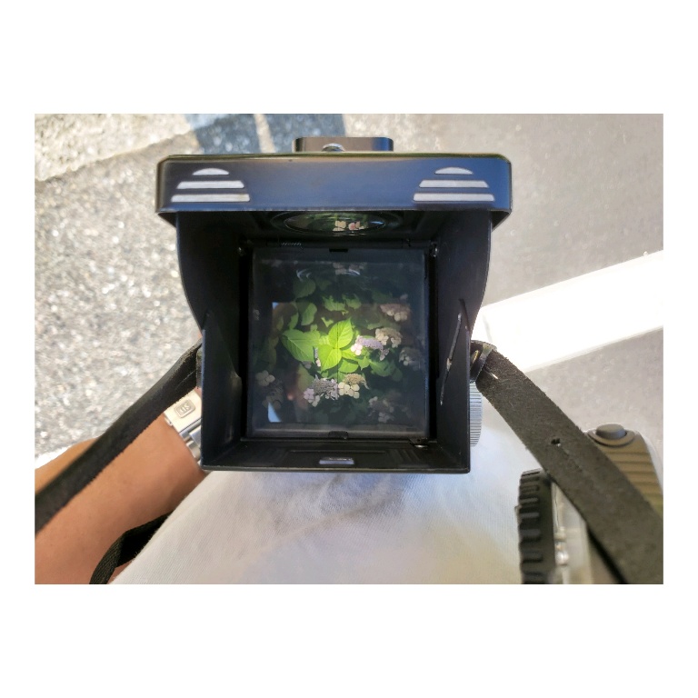 ついにローライの二眼レフを買った｜ROLLEICORDⅢ Xenar75mm F3.5を