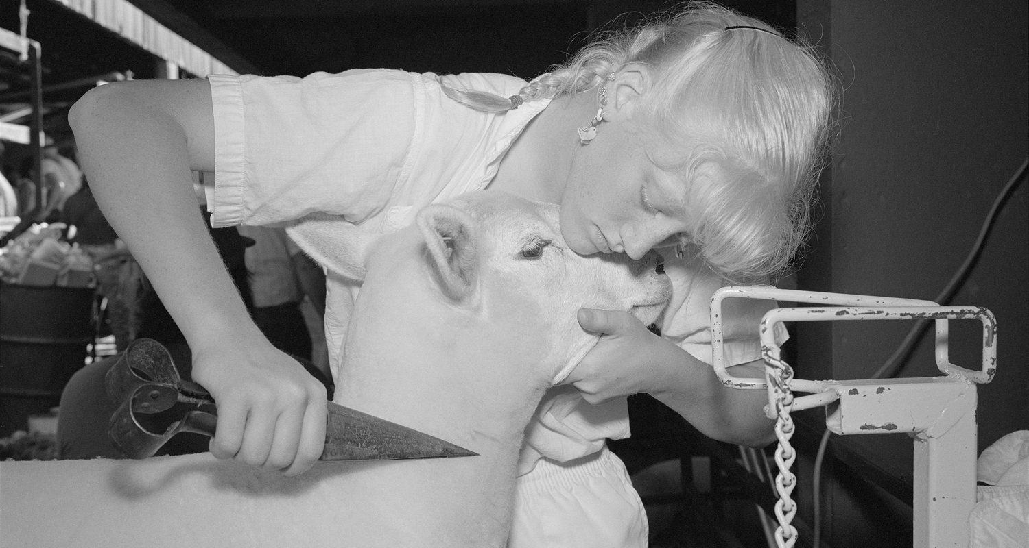 Sergio Purtell – Moral Minority – AMERICAN SUBURB X