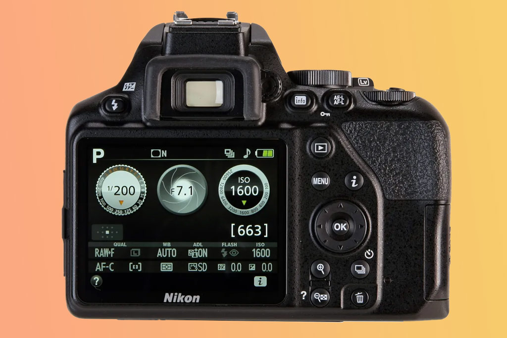 Nikon D3500 DSLR review – Budget second-hand DSLR for beginners