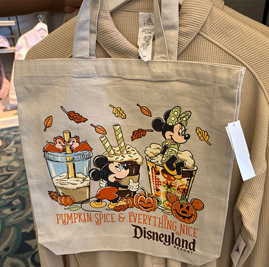 2025年 カリフォルニア・ディズニーの限定グッズを現地レポ｜70周年