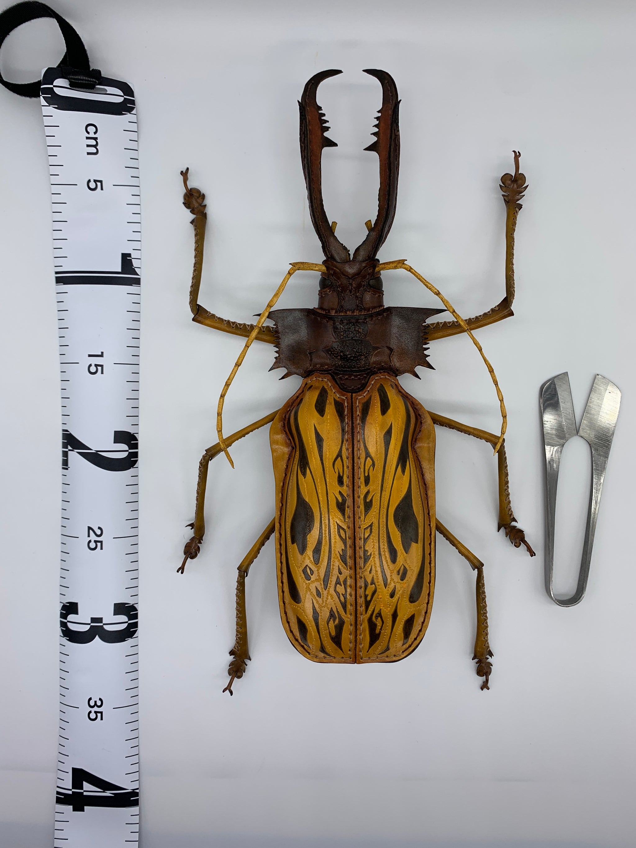 オオキバウスバカミキリの網切り鋏ケース – あまのじゃくとへそまがり