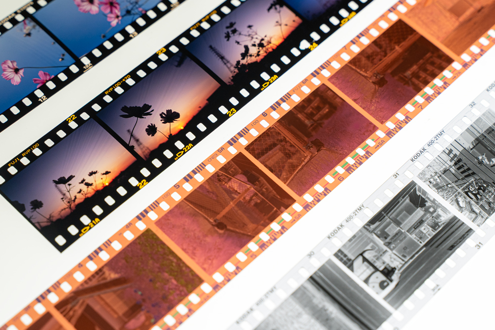 期限切れフィルムは使える？劣化・現像・価格を徹底解説【2026年版